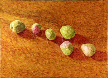 Stilleben, svarta Worcesters, 2013