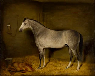 Arabhäst i en lös ask, ca 1860 (olja på duk)