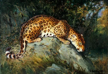 A Leopard Crouching on a Rock (olja på duk ombord)