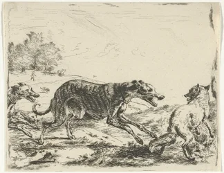 Räv och tre hundar