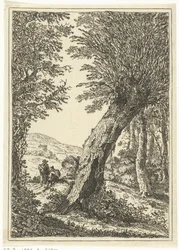 pilträd