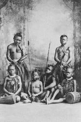 Grisar, tidigt 1900-tal.