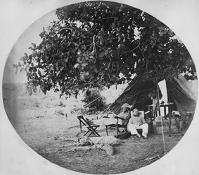 En varm dag i den indiska djungeln, ca 1860