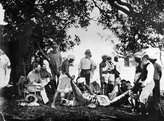 Flåning av tigern, omkring 1870