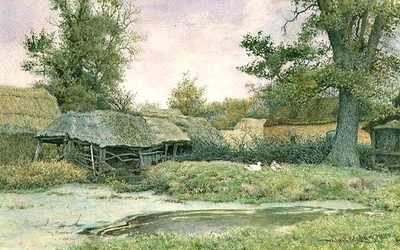 Gård med ankdamm och ankor