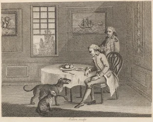 Mannen, katten, hunden och flugan