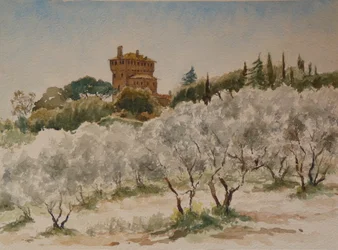 883 Pal Massaini, nr Pienza