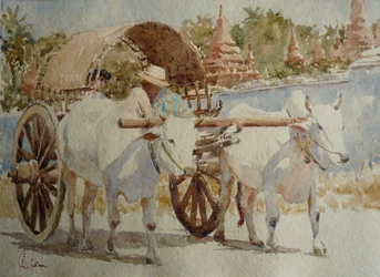 934 Bullock cart taxi runt templen