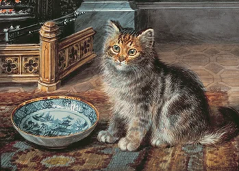 Förväntan, 1919