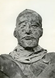 Chef för Rameses III:s mumie, fornegyptisk farao från den 20:e dynastin, c1156 f.Kr. 1926