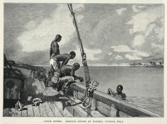 En orkan, odling av hampa, på Abaco Island, en blomsterförsäljare, konkylidykare, från The Century Magazine, februari 1887