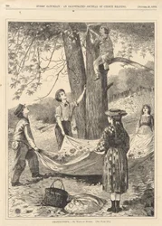 Kastanjer, från varje lördag den 29 oktober 1870