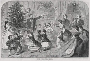 Jul -- Samla Evergreens Julgranen