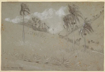 Teckning, Kubansk bergssluttning, 1885