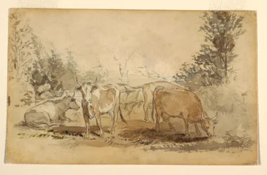 Teckning, Fyra kor betar i en hage, ca 1855-60