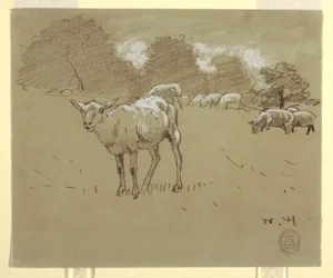 Teckning, Får betande på en åker, ca 1875-78