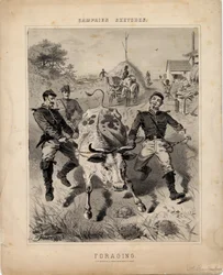 Fodersökning, illustration från 