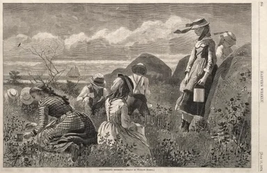 Samla bär, 1874.