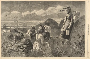 Gathering Berries, från Harper