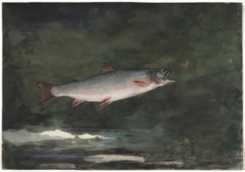 Hoppöring, 1889.