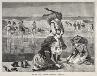 Lågvatten