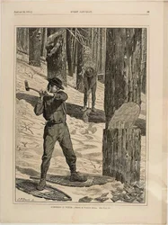Lumbering på vintern