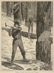 Skogsavverkning på vintern, från Every Saturday: A Journal of Choice Reading, 28 januari 1871