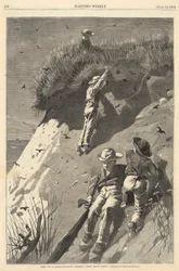 Raid på en sand-svalakoloni
