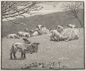 Vårlamm