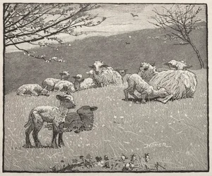 Vårlamm, 1880.