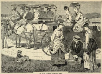 The Picnic Excursion, från Appletons
