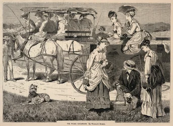The Picnic Excursion, från Appletons