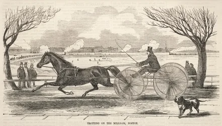 Trav på Mill Dam, Boston, 1859.