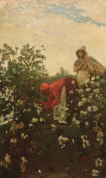 Upland Cotton, 1875