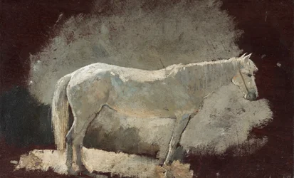 White Mare, ca. 1868.