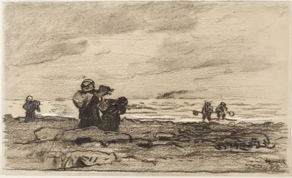 Kvinnor på en klippig strand