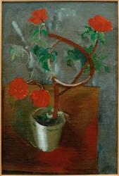 Röda blommor