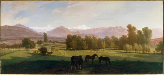 Arvedalen
