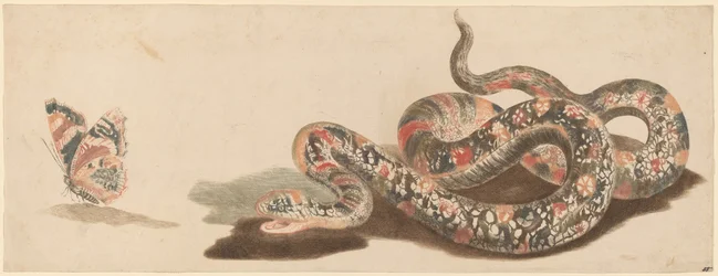 Orm och fjäril, 1680-1690-tal.