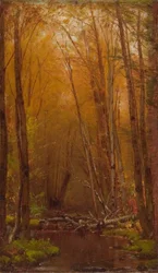 Björkarna i Catskills