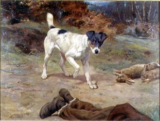 En Jack Russell vid ett kaninhål