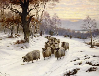 En herde och hans flock på en stig på vintern