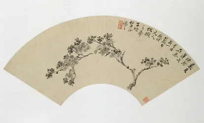 Aprikos, 1800-talet.