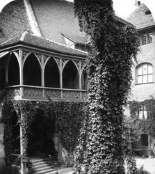 Lindeträd på en innergård, Nürnberg, Bayern, Tyskland, c1900-talet.