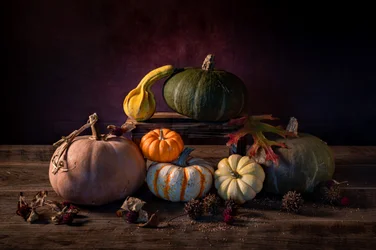 Pumpor från höstskörden