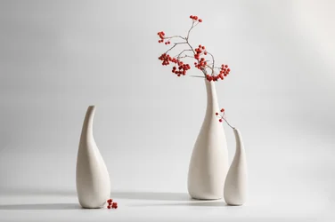 Eleganta vaser med röda bär