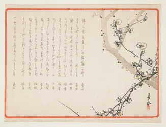 (plommonblommor)
