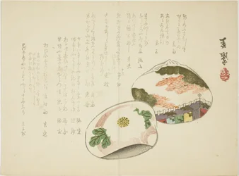 Musselskal