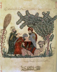 Abu Zayd, Al-Harrith, en liggande kamel och en figur