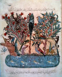 Den mystiska ön befolkad med konstiga djur Miniatyr tagen från "Maqamat" (Seanser) av Abu Mohammed al-Kasim ibn Ali Hariri (eller Al-Hariri eller Al Hariri) (1054-1122) upplyst av Yahya Mahmud al-Wasiti (al Wasiti) ).) år 1237, Paris, B.N.